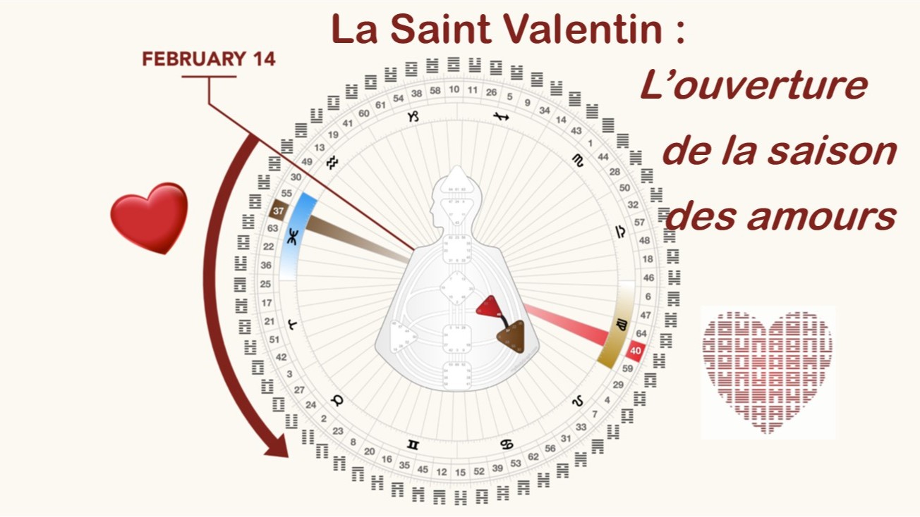 design humain : la saint valentin – l’ouverture de la saison des amours !